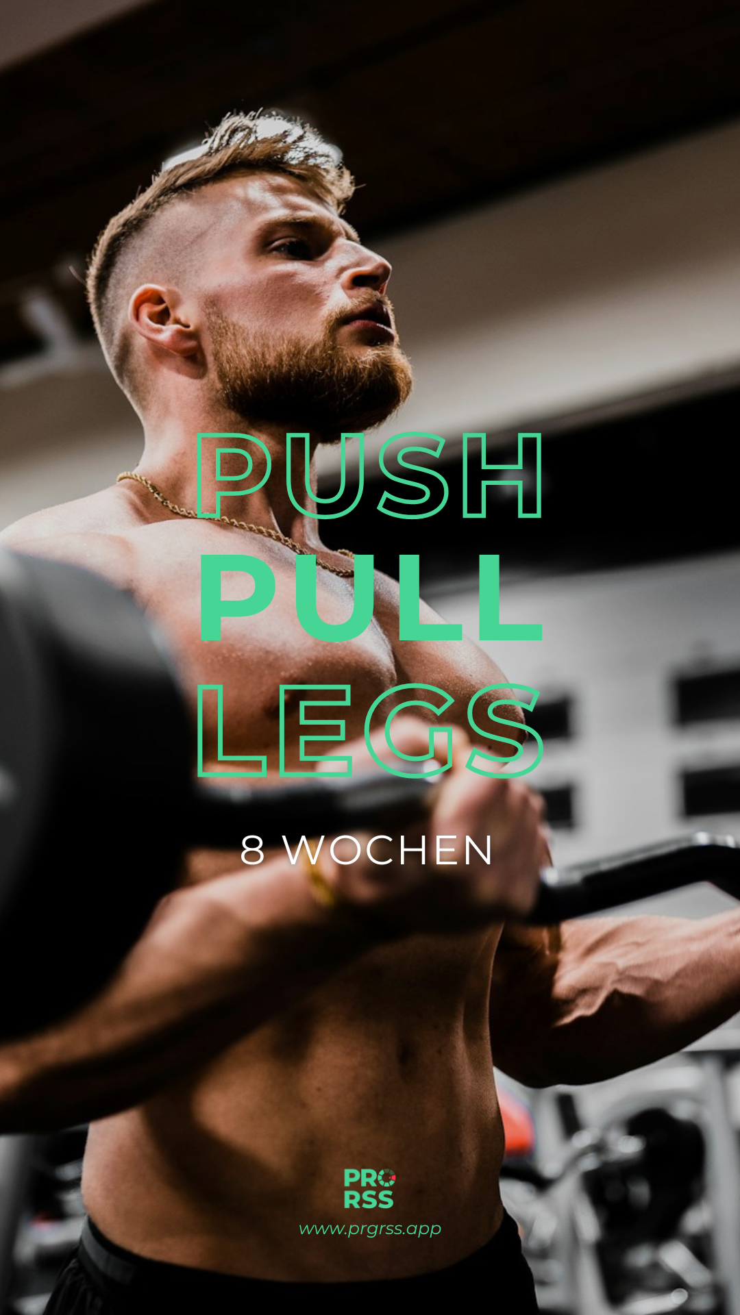 Push Pull Legs (3er Split) Trainingsplan - 8 Wochen