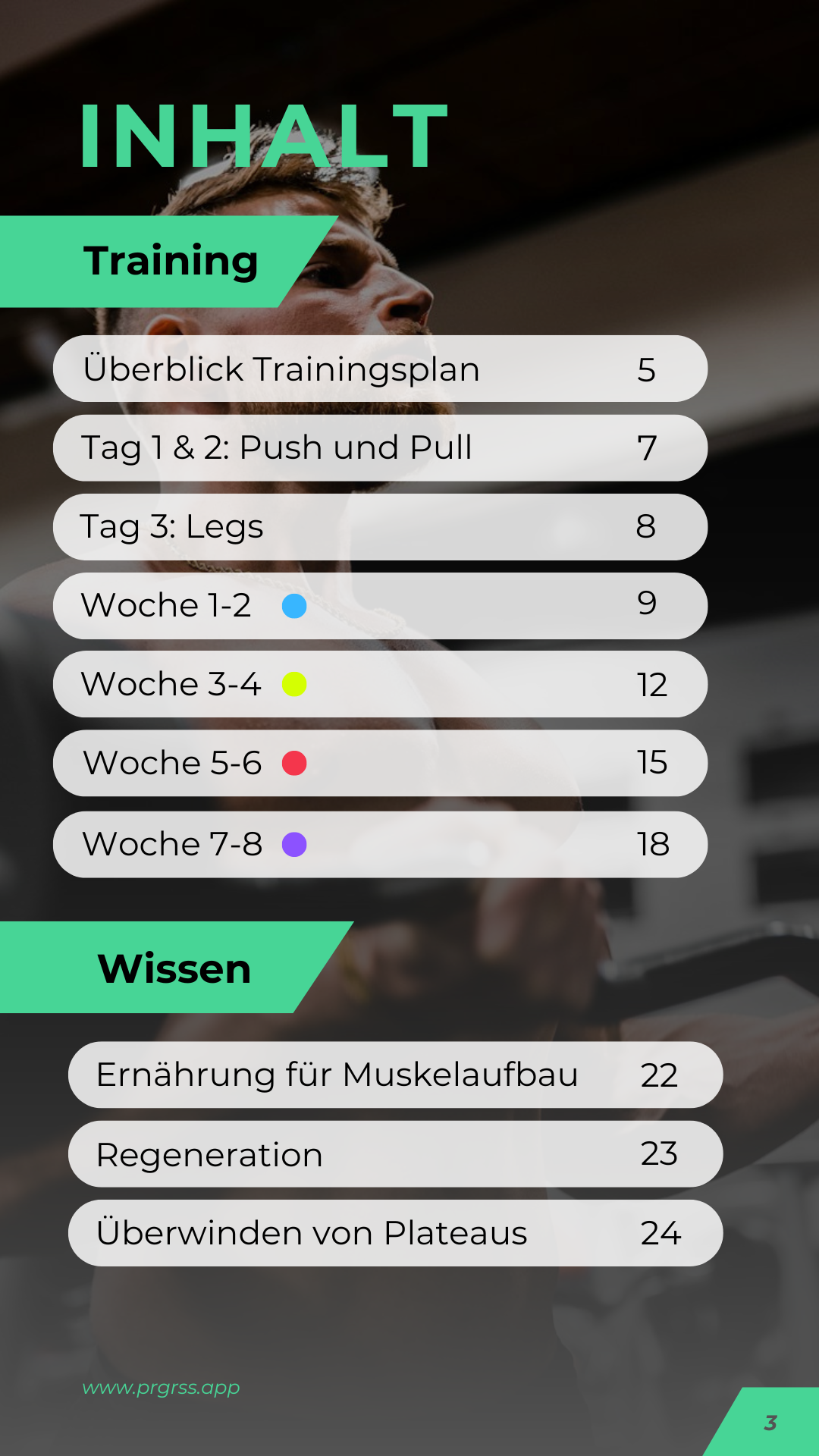 Push Pull Legs (3er Split) Trainingsplan - 8 Wochen