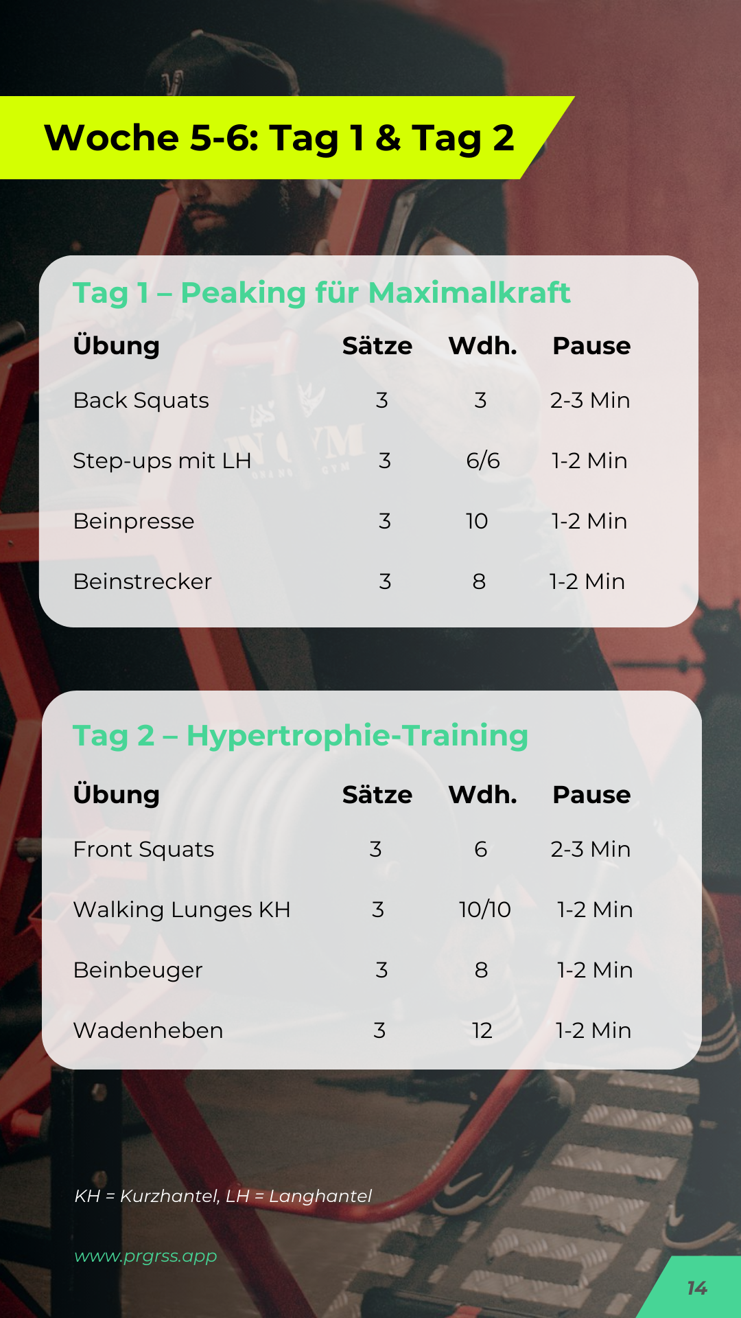 Squat Programm - 8 Wochen