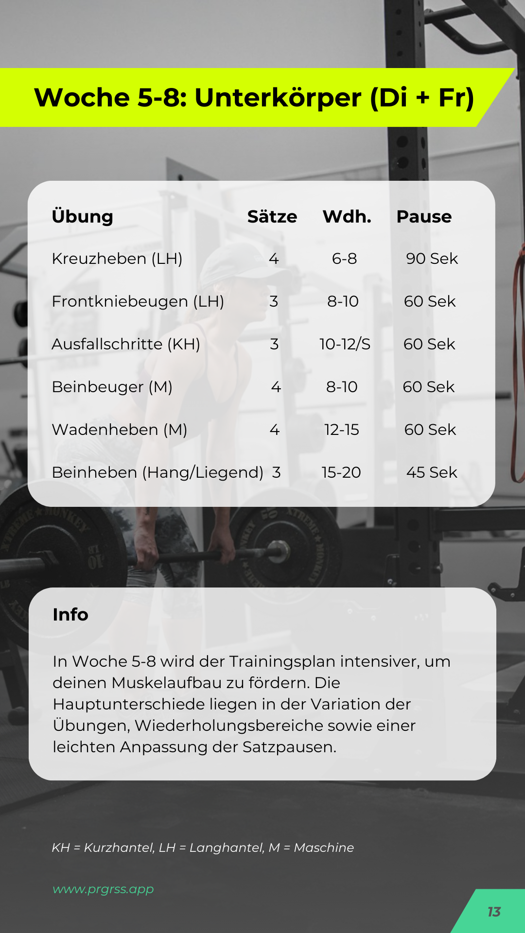 Oberkörper/Unterkörper (2er Split) Trainingsplan - 8 Wochen